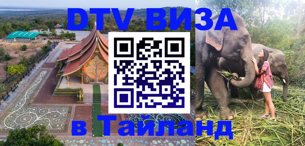 Оформление DTV визы под ключ: стоимость и тарифы, только загранпаспорт - 